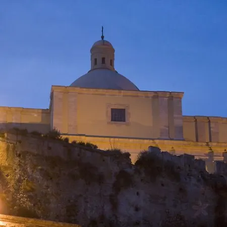 Orchidea ميلاتسو